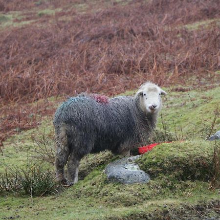 Dalesway Cottage ウィンダミア エクステリア 写真